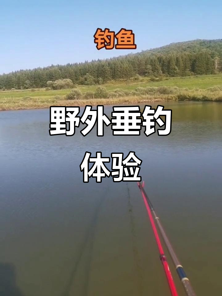 野生钓鱼技巧(野生钓鱼技巧和方法)