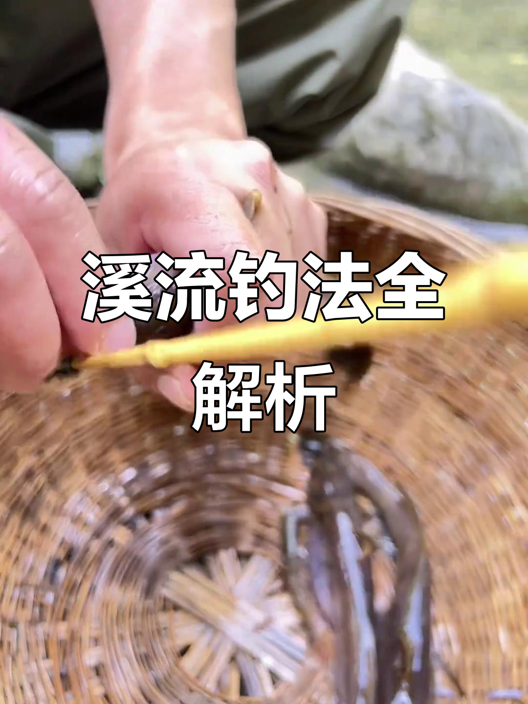 冬季野外小溪垂钓技巧(癫狗咬毒方组成)