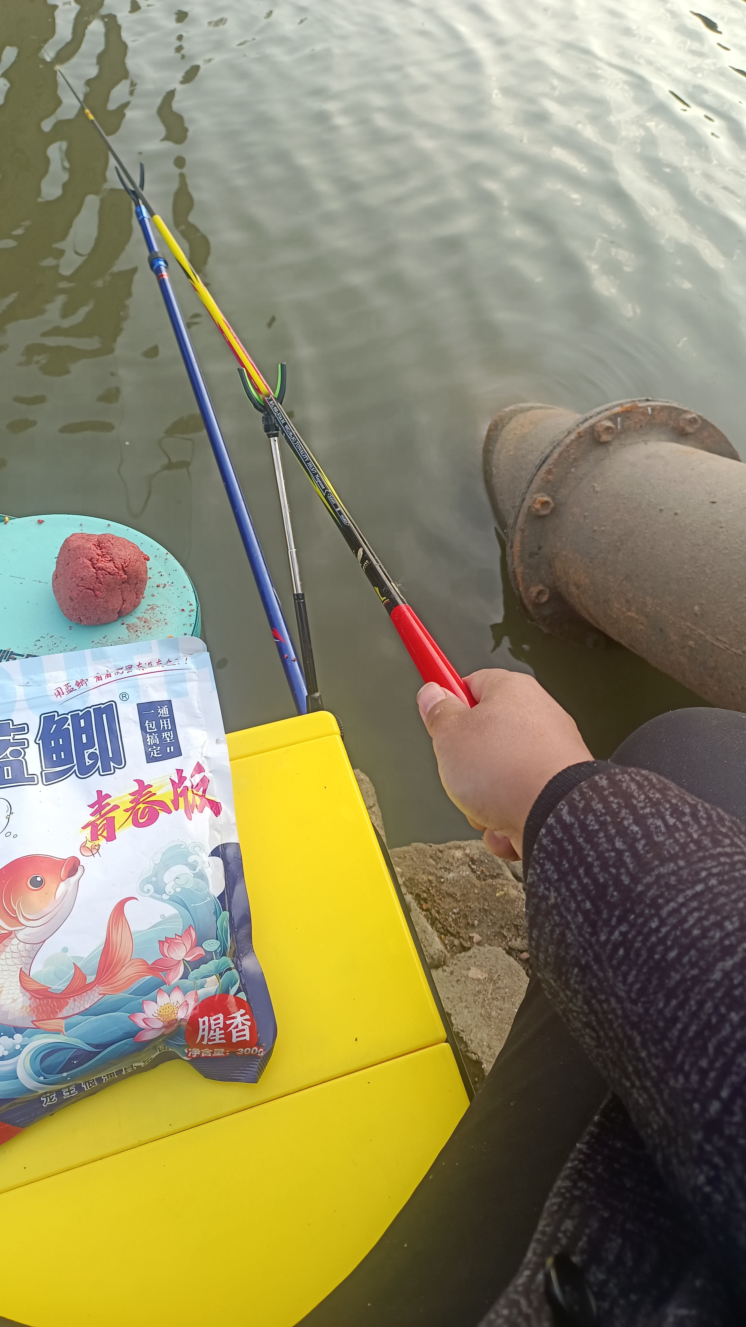用韭菜钓鱼的技巧(用韭菜钓鱼的技巧是什么)