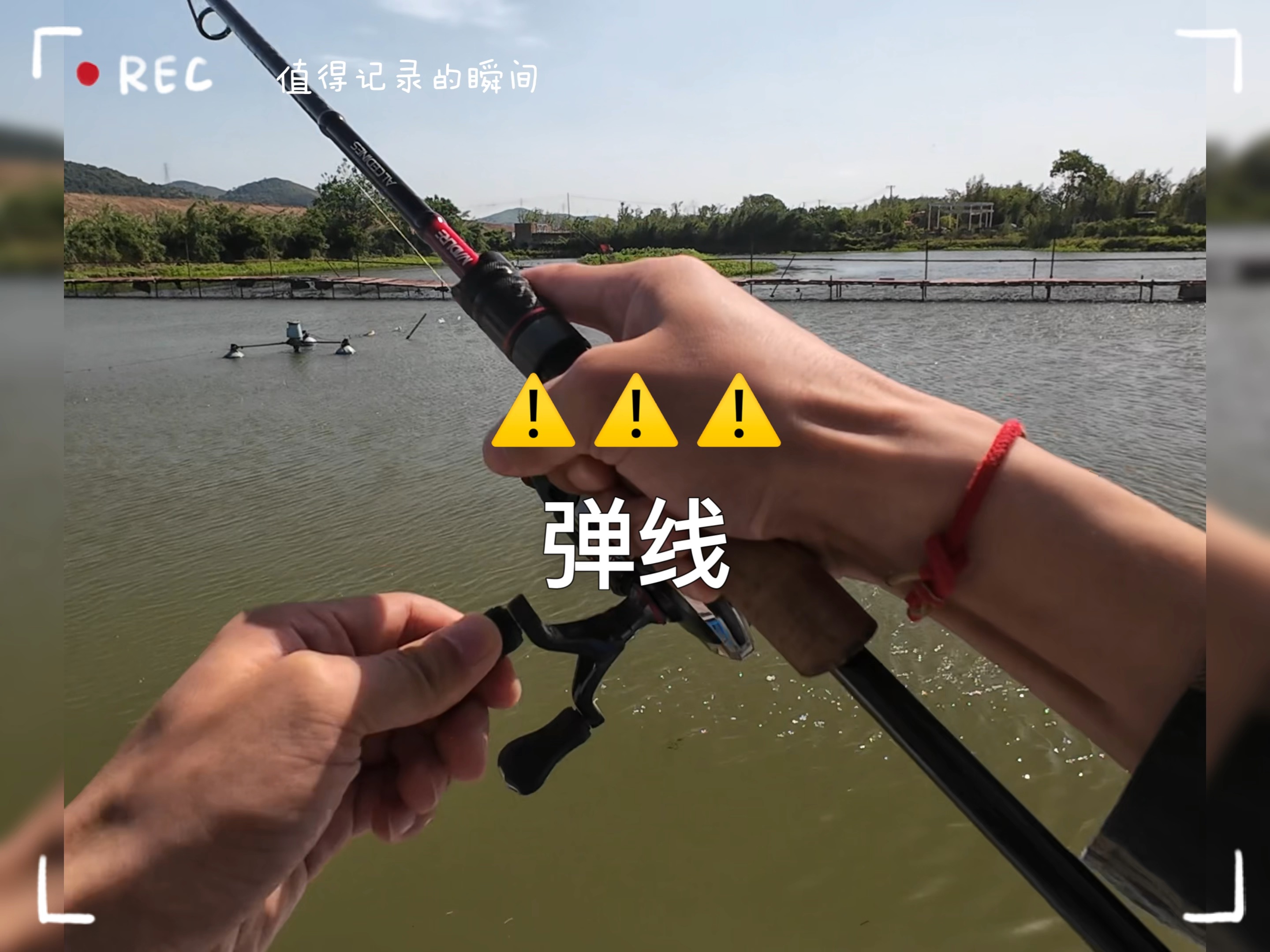开春钓黑坑鲤鱼技巧(开春黑坑怎样钓鲤鱼)