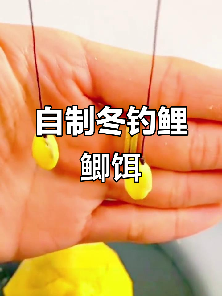 冬季钓鱼搭配饵料(冬季钓鱼经典饵料配方)
