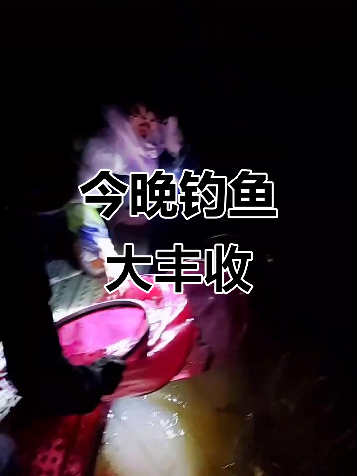 晚上钓青鱼技巧视频大全(晚上钓青鱼技巧视频大全教程)