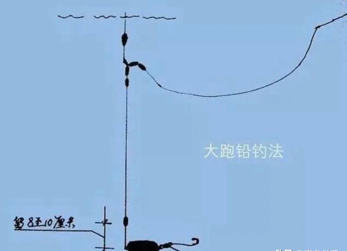 青鱼垂钓技巧(青鱼垂钓视频)