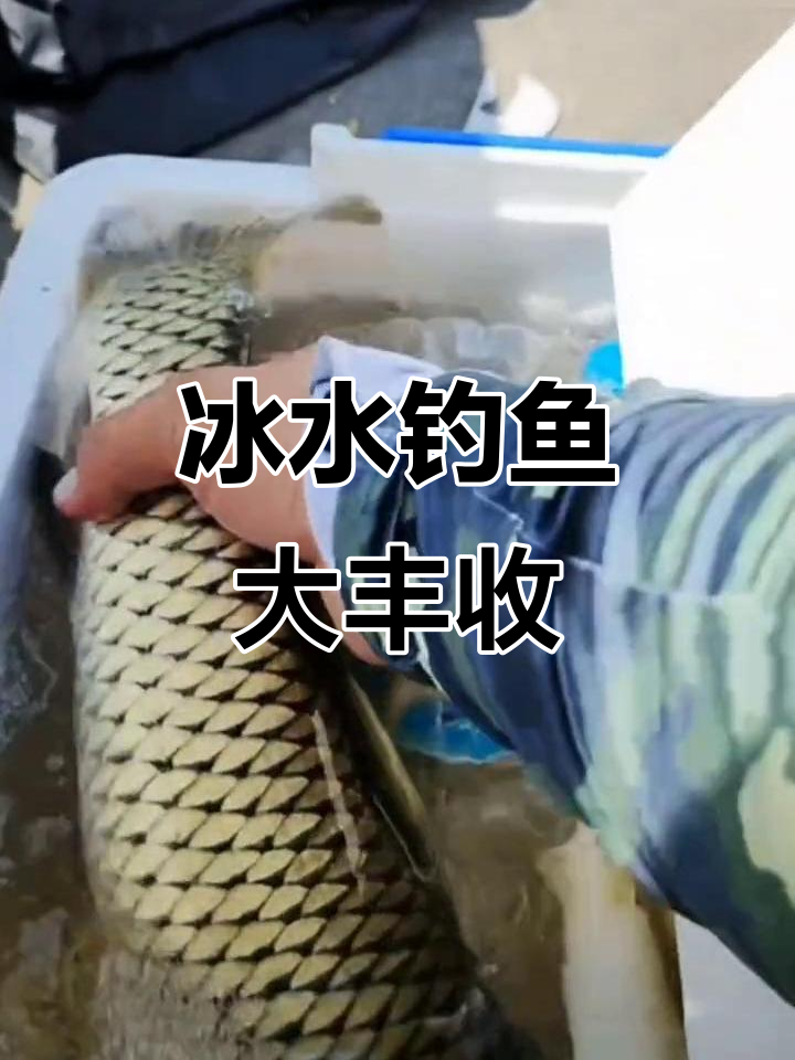 在有冰的河里钓鱼技巧(在冰上钓鱼)