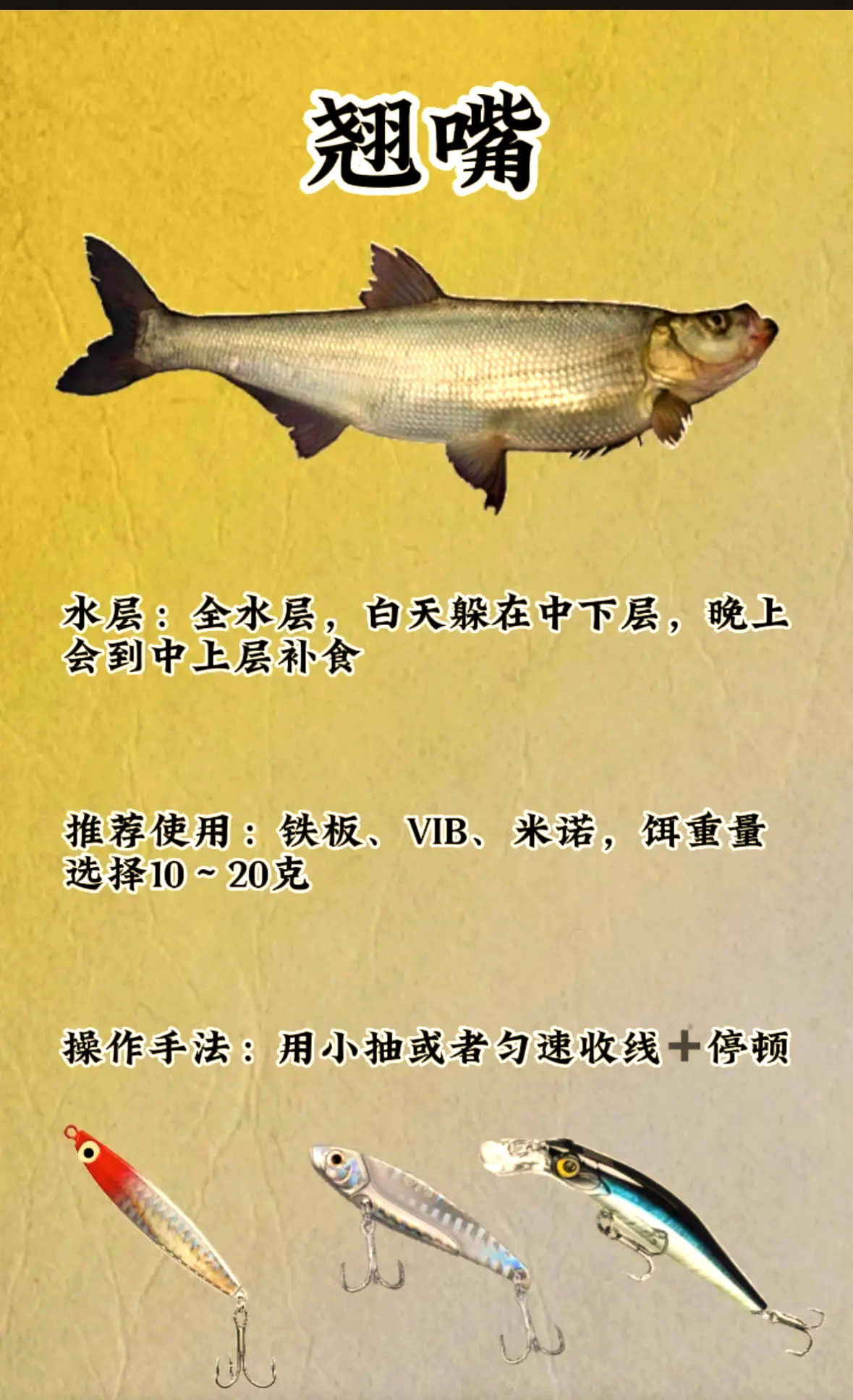 南方11月份钓鱼技巧(南方11月份钓鲮鱼该注意什么)