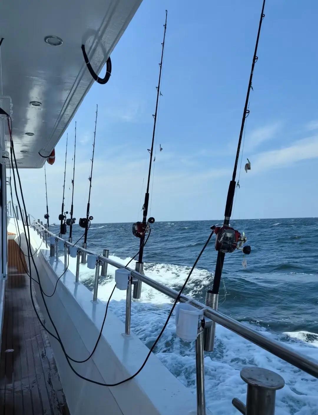 海钓沉底钓提竿(海钓沉底钓组视频)