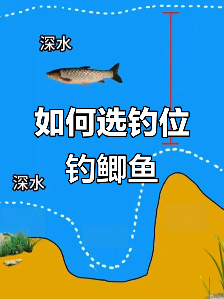 桥上伐钓鲫鱼技巧(桥钓鲫鱼视频教程)