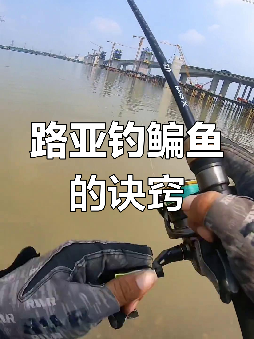 矶竿钓鳊鱼技巧(矶竿钓鱼入门视频)