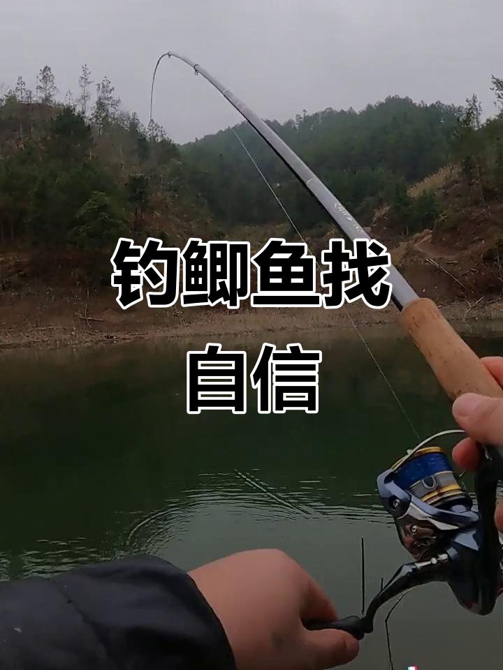 矶竿钓鳊鱼技巧(矶竿钓鱼入门视频)