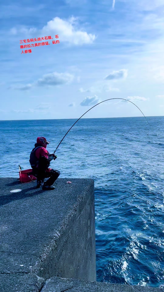 菊花岛海钓矶钓(海钓矶钓线组视频教程)