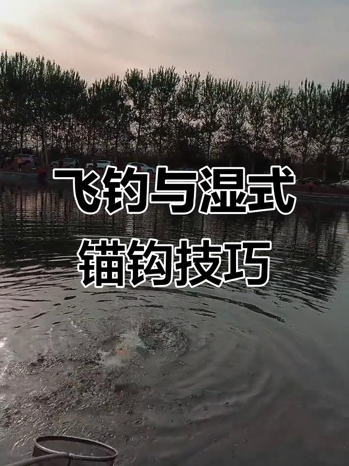 面团钓鱼技巧(用面钓鱼技巧)