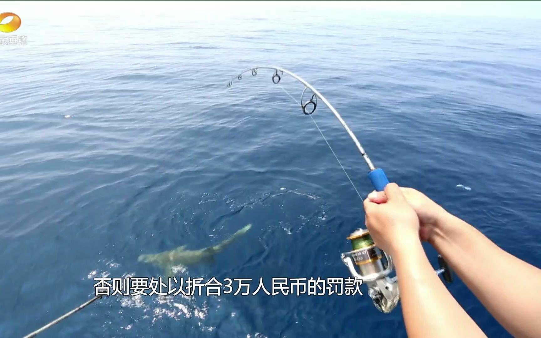 文昌海钓路亚(文昌海钓路亚钓鱼地点)