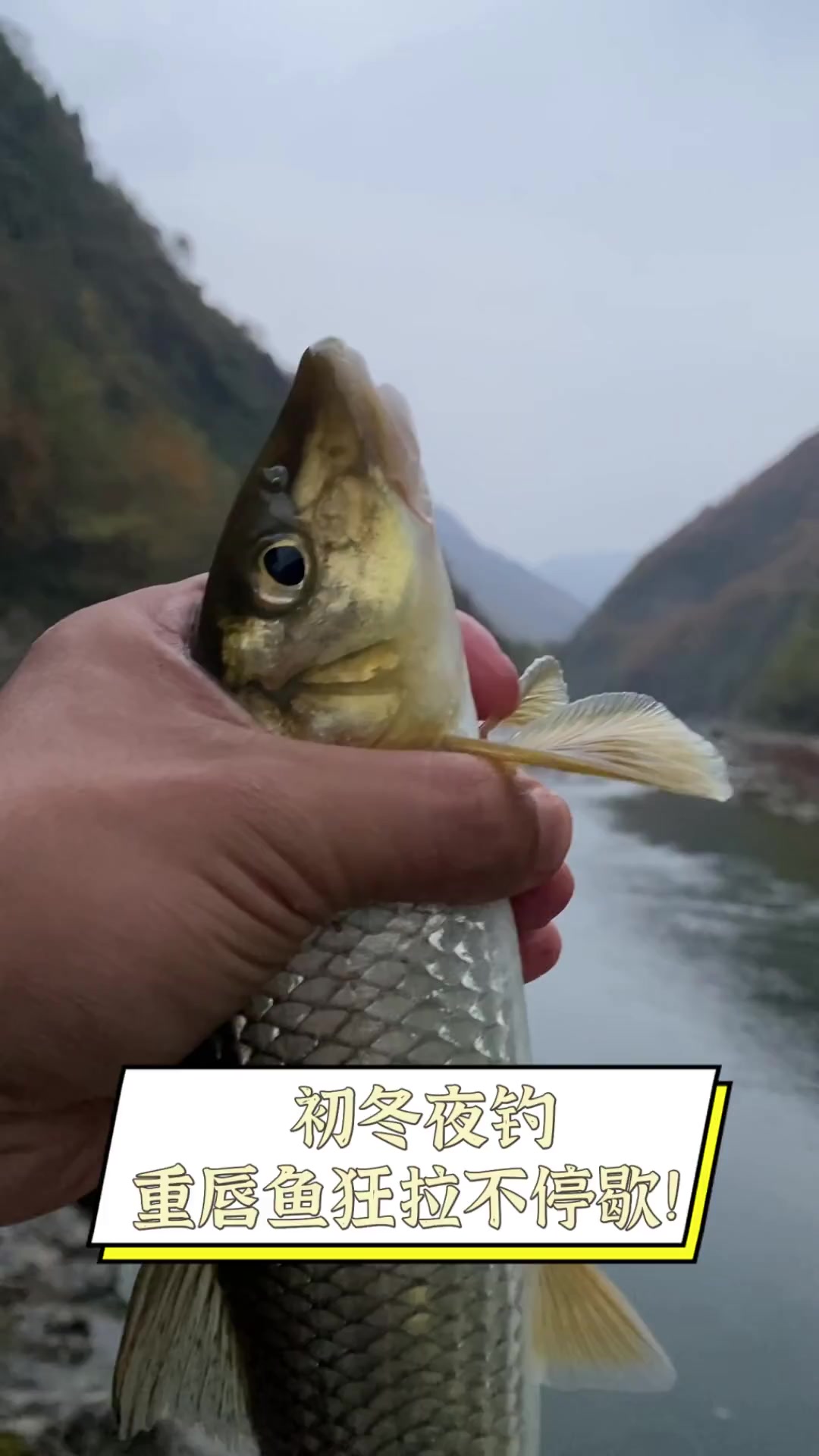 初冬传统钓鱼技巧(初冬钓鱼天气的选择)