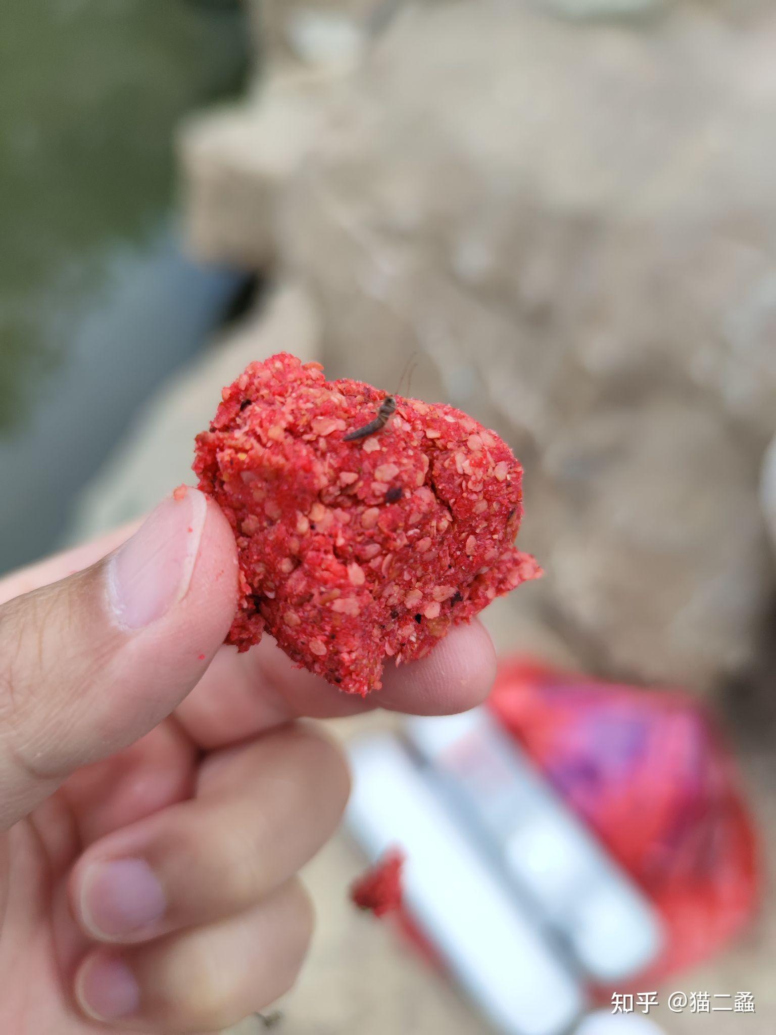 汉江龙饵料(汉江野钓用什么饵)