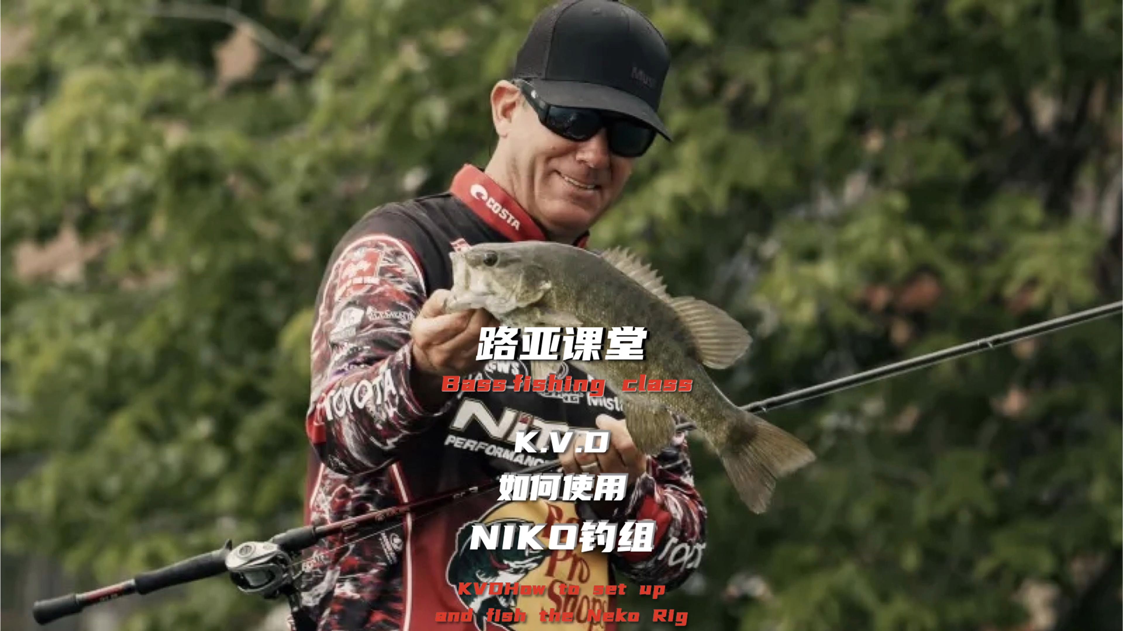 路亚kvd(路亚竿全套安装视频)