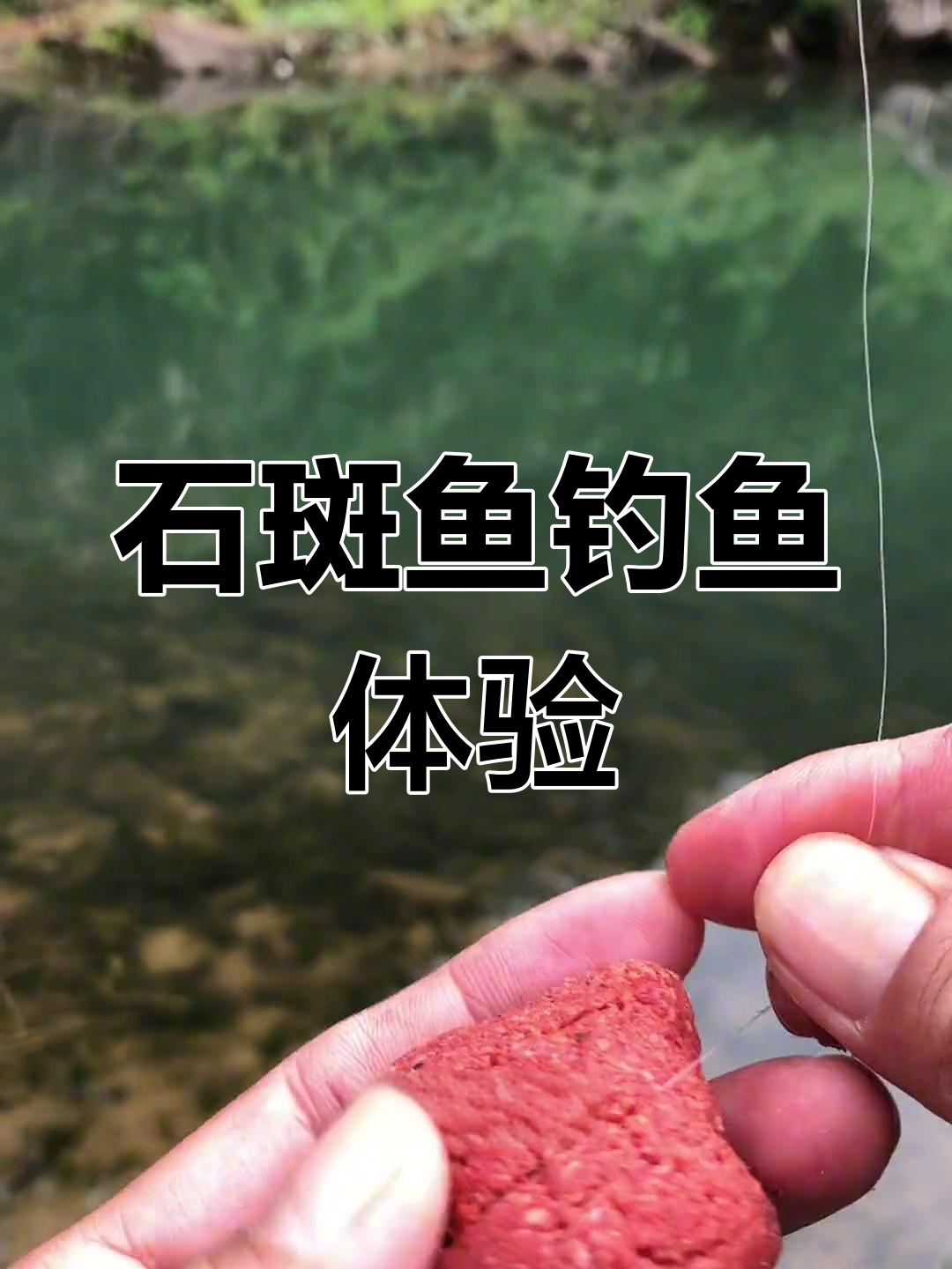 山溪钓石斑鱼技巧(山溪石斑鱼怎么烧好吃)