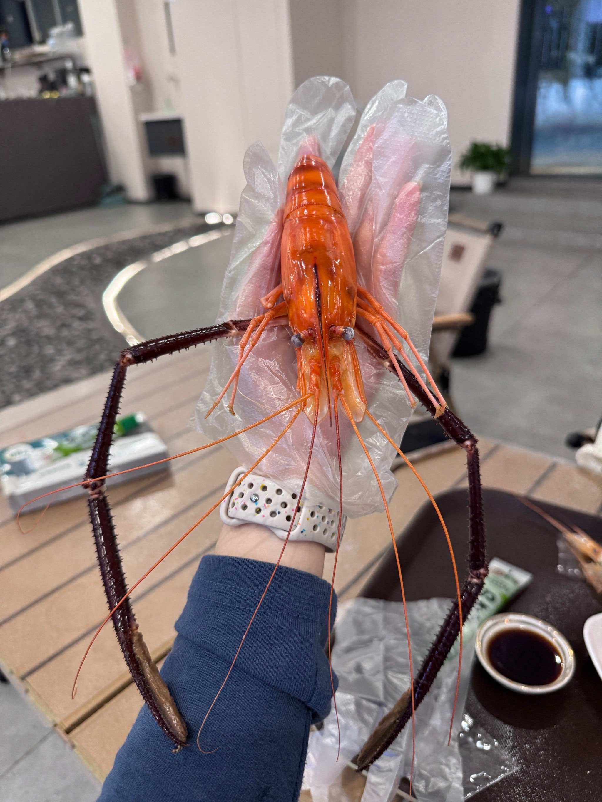 海钓用熟虾钓(海钓用熟虾钓多深的水)