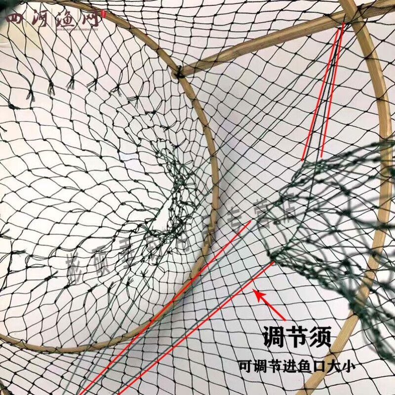 黑鱼笼捕黑鱼技巧(诱捕黑鱼笼)