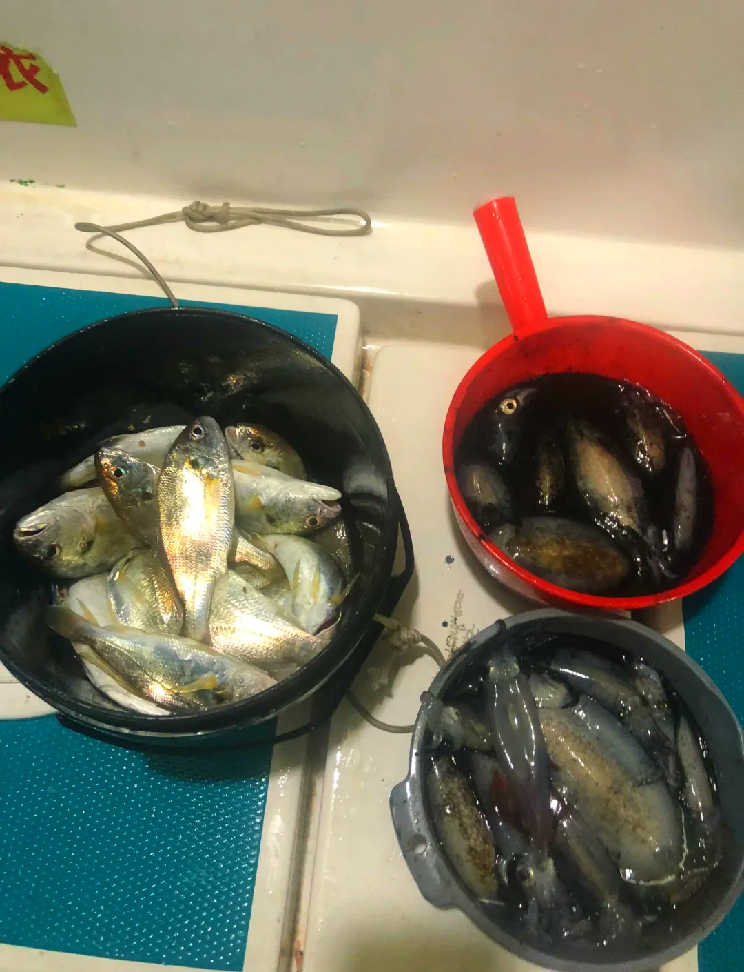 海钓钓吹筒子(海钓钓底线组)