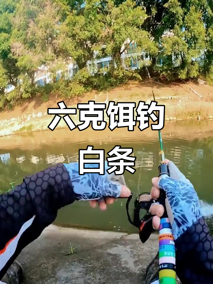 小河钓小白条找点技巧(河里钓的小白条怎么做好吃)