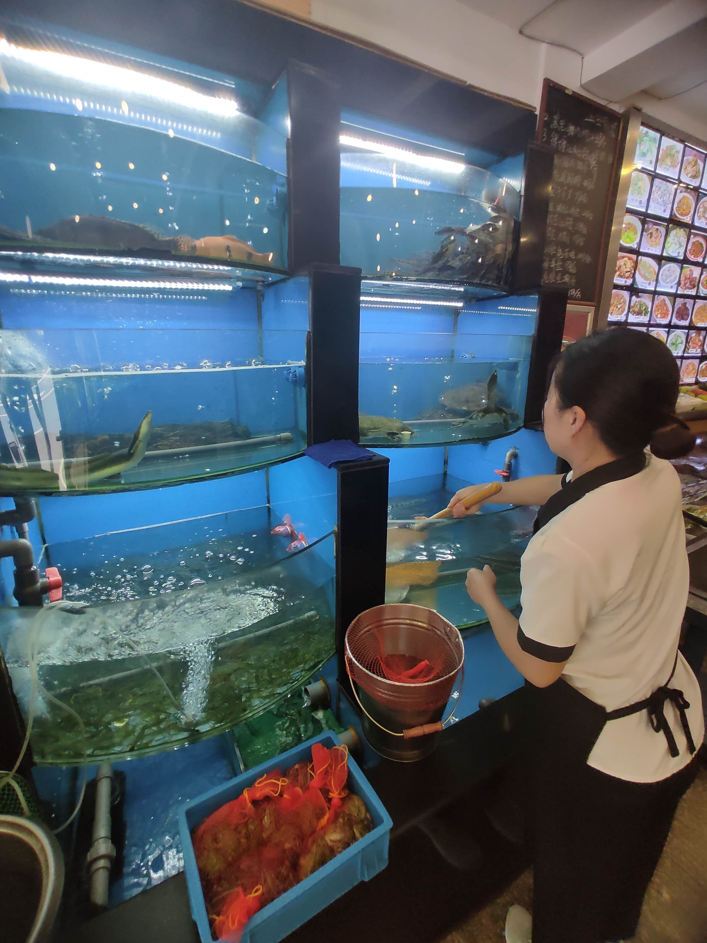 南门渔具店怎么样(如何开好一个渔具店)