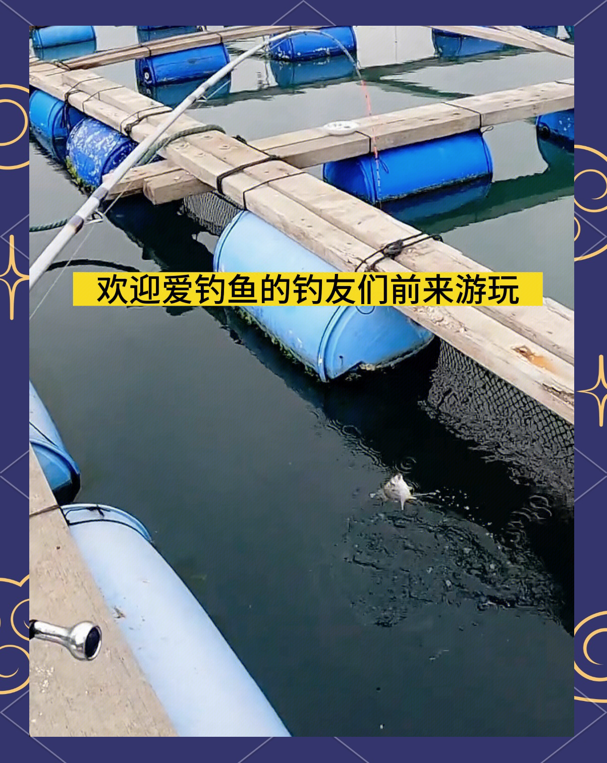 潜水鱼排钓鱼技巧(潜水排压技巧)