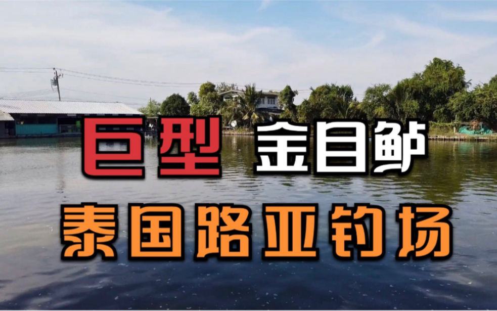 路亚钓场怎么收费(路亚基地收费标准)