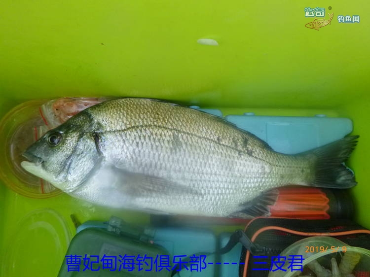 曹妃甸海钓俱乐部地址(曹妃甸海钓俱乐部地址查询)