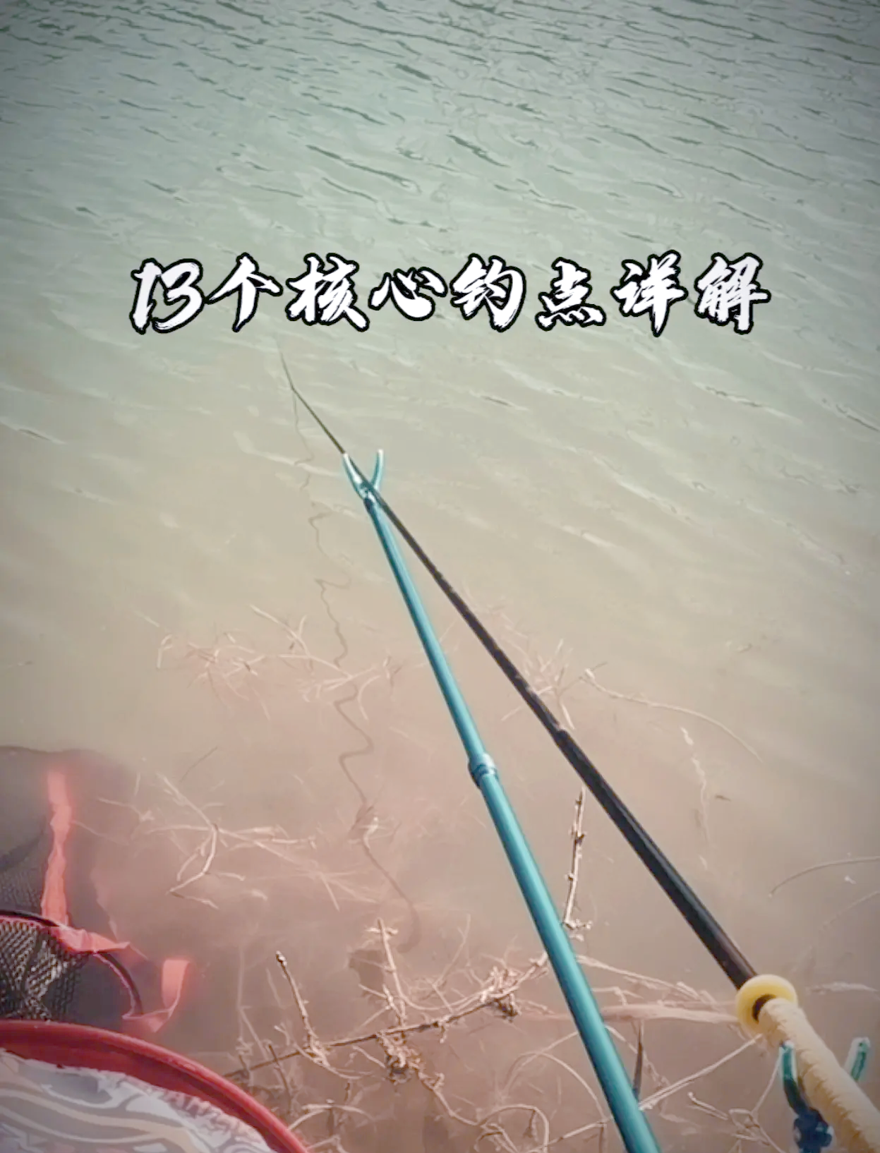 沙尖鱼钓法技巧(钓沙尖鱼用几号钩几号线)