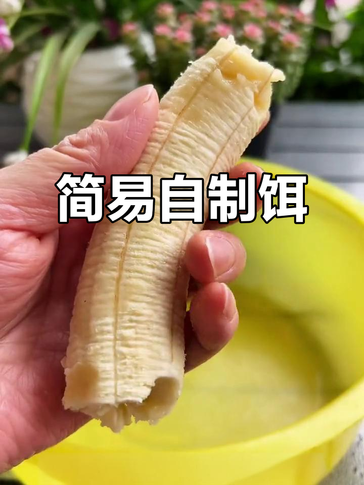 怎样自做钓鱼饵料(如何自制钓饵)
