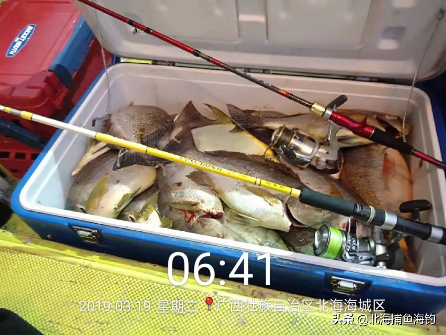 怎么海钓米鱼(海钓米鱼用什么饵最佳)