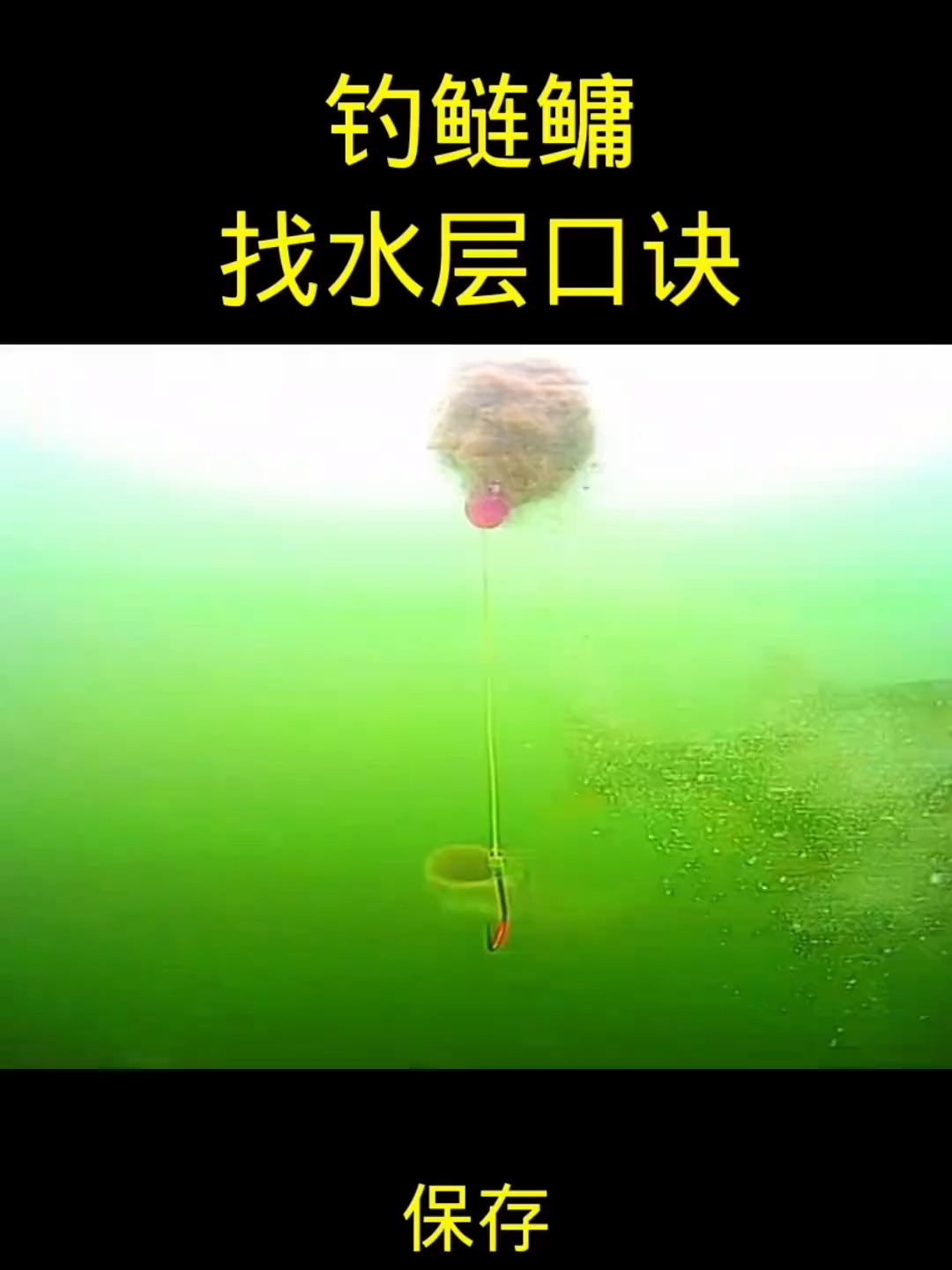 鲢鳙技巧(寒露过后钓鲢鳙技巧)