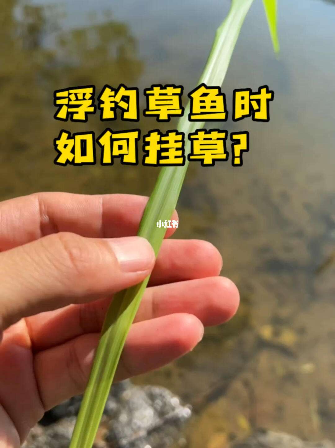 晚上用草钓草鱼技巧(晚上钓草鱼用什么好钓)