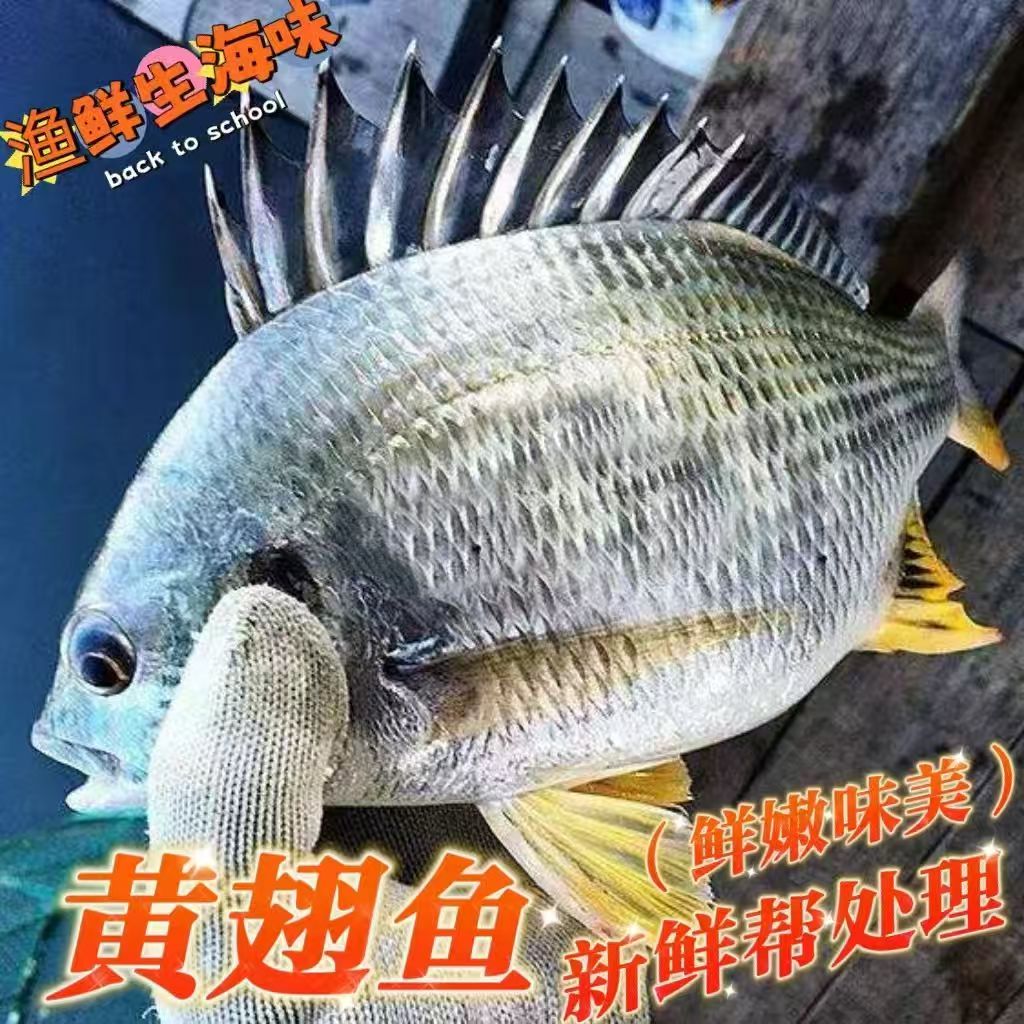 东山岛海钓多少钱(东山岛海钓鱼排80块钱)