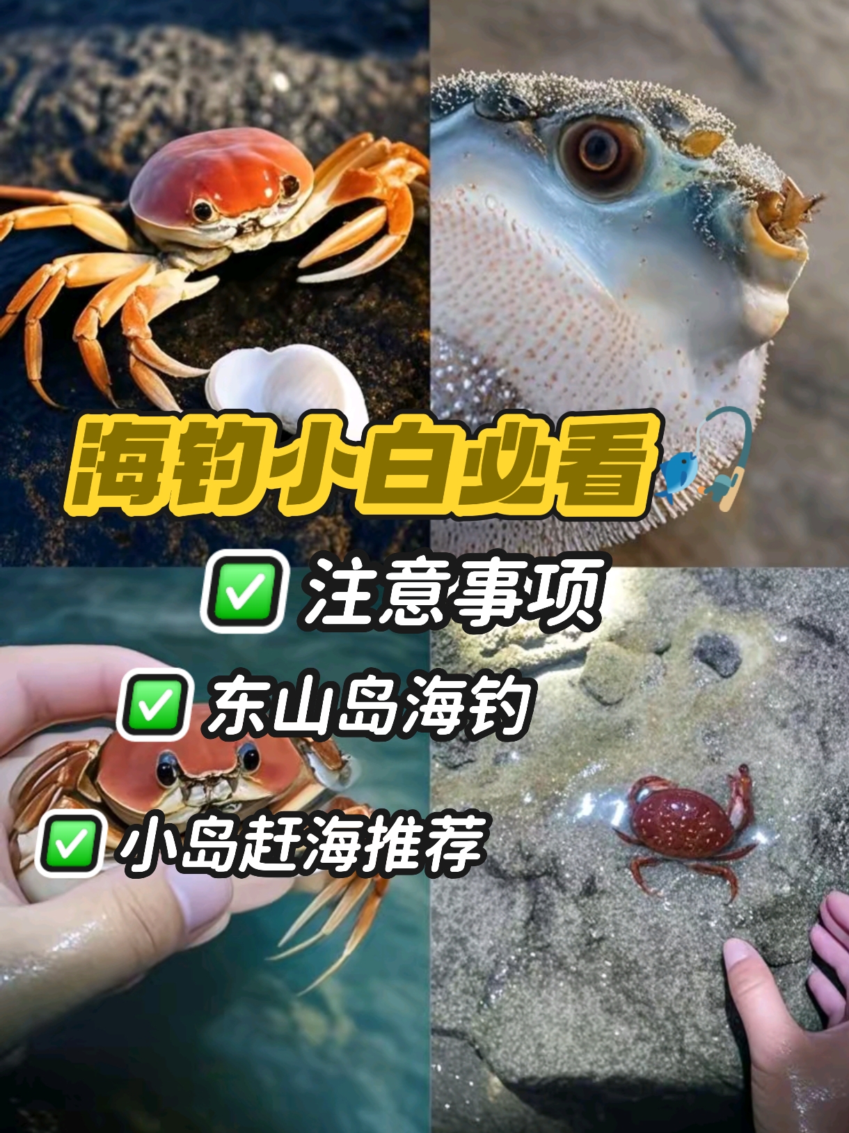东山岛海钓多少钱(东山岛海钓鱼排80块钱)