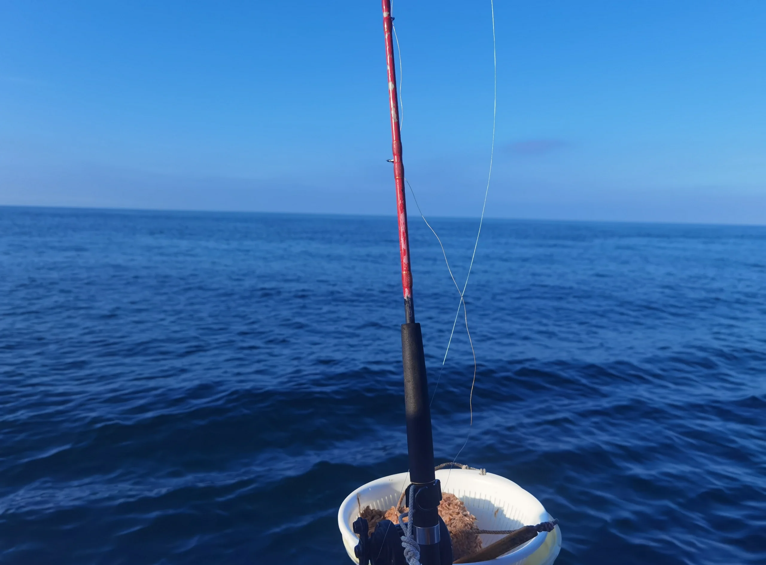 乍浦海钓攻略(平湖乍浦哪里吃海鲜最正宗)