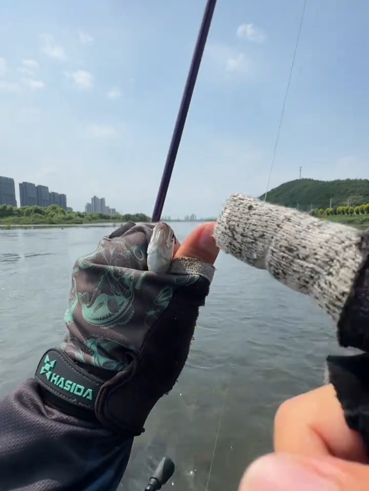小湾路亚(为什么不建议玩路亚)
