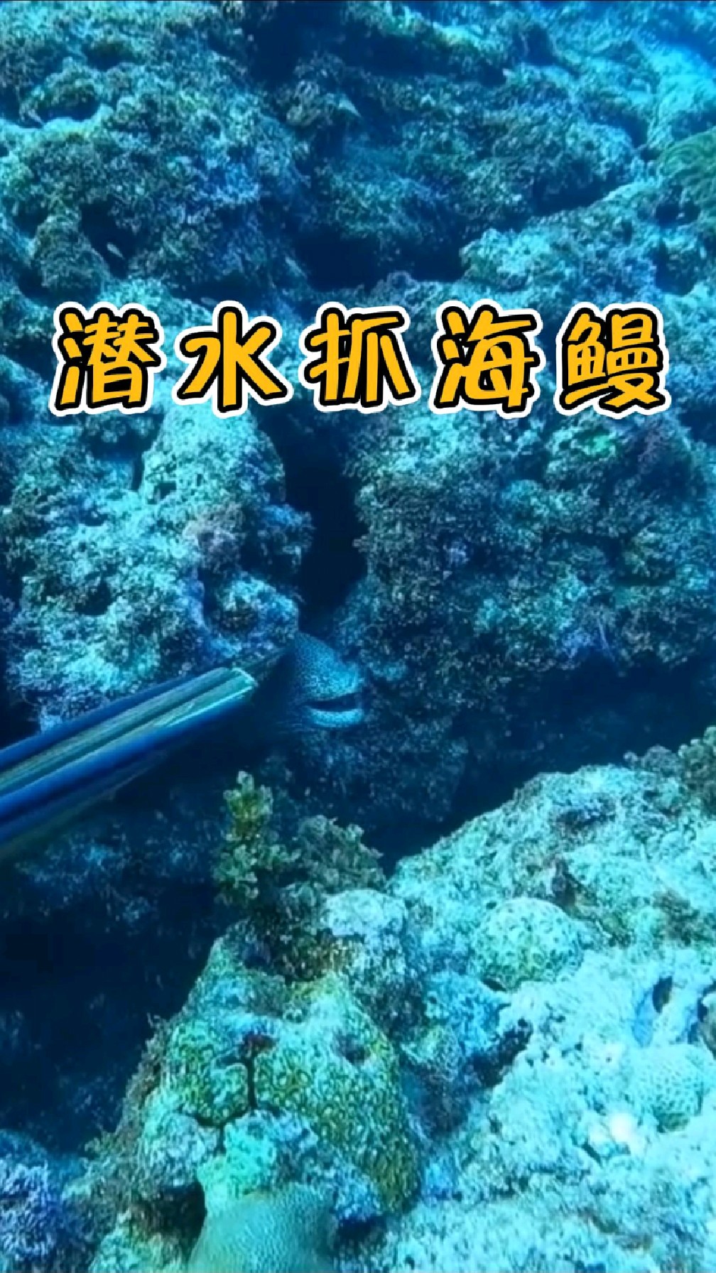 抓大鳗鱼有什么技巧(捉鳗鱼的方法)