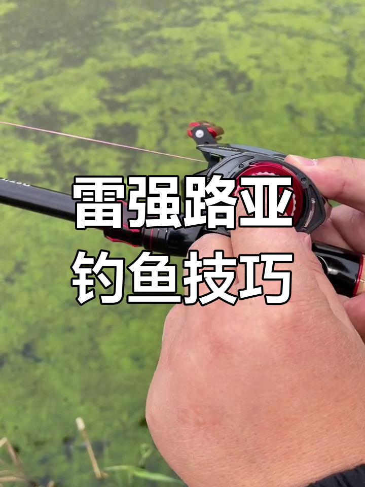 路亚如何调(怎样调路亚)