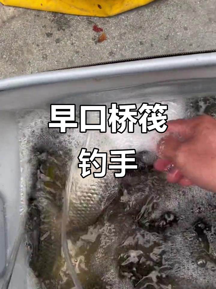 桥筏草鱼用技巧(桥筏钓鱼视频教程)