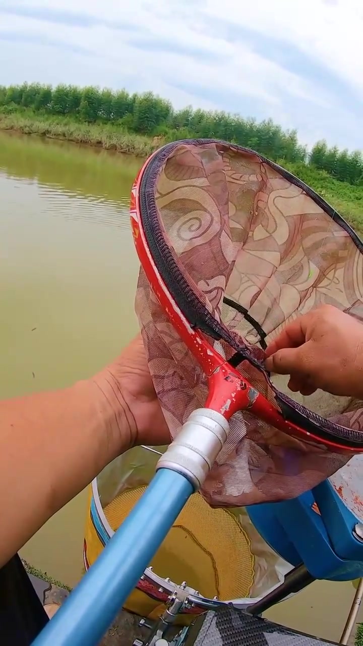 桥筏草鱼用技巧(桥筏钓鱼视频教程)