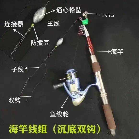 海钓鱼线怎么组装图解(海钓线组组装图解)