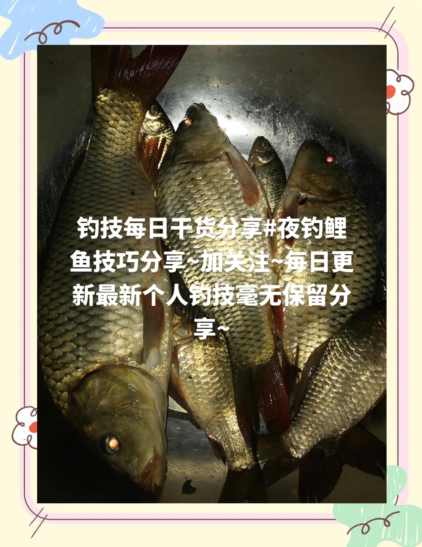 开春夜钓鲤鱼技巧(开春夜钓注意什么)