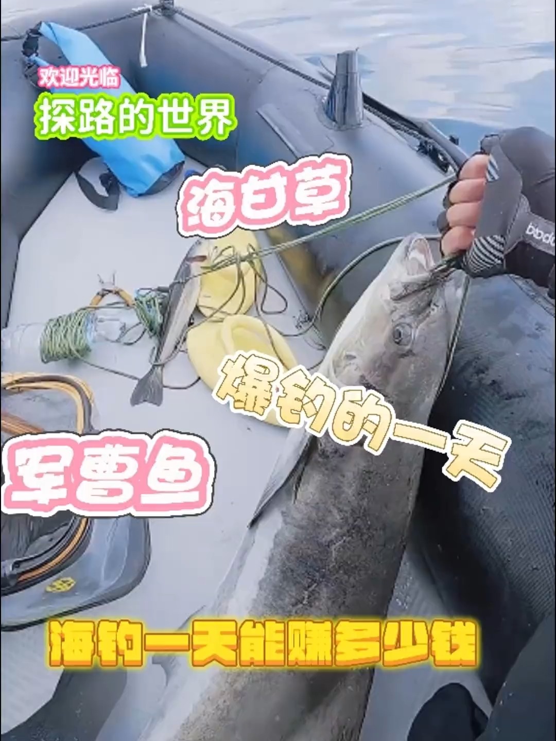 海钓一次多少钱(海钓 多少钱)