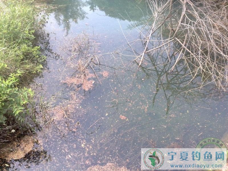 冬季打黑技巧(夏季打黑技巧)