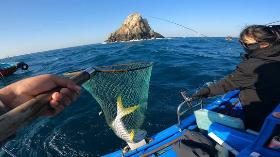 大青针海钓地点(大青针海钓攻略)