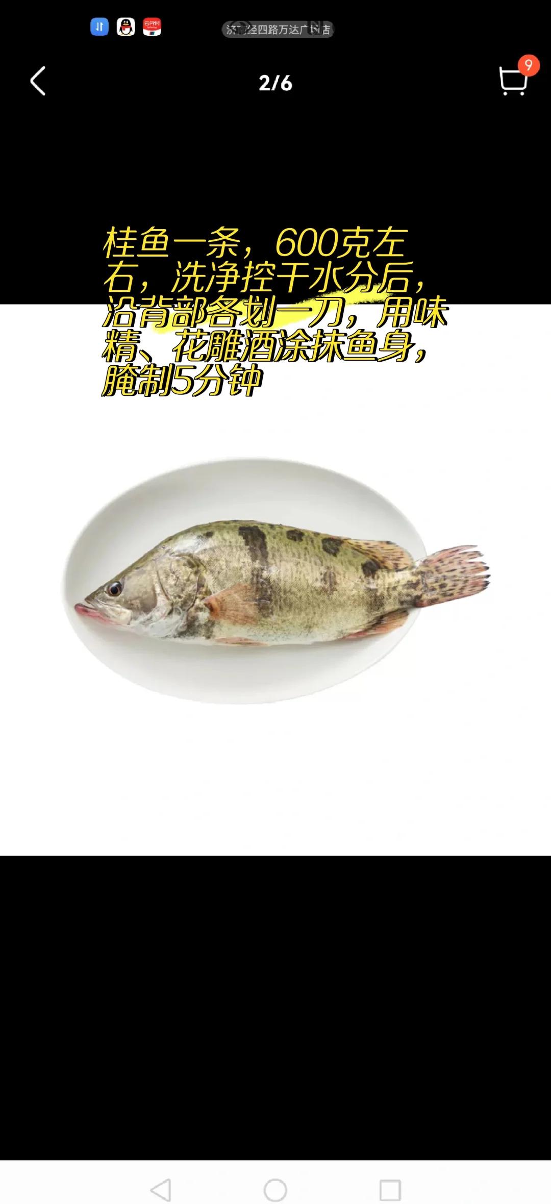 桂鱼上饵料(桂鱼饵料鱼配套养殖)