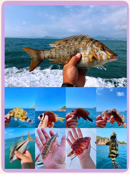 冬季冲绳海钓(海钓黑鲷十句口诀)
