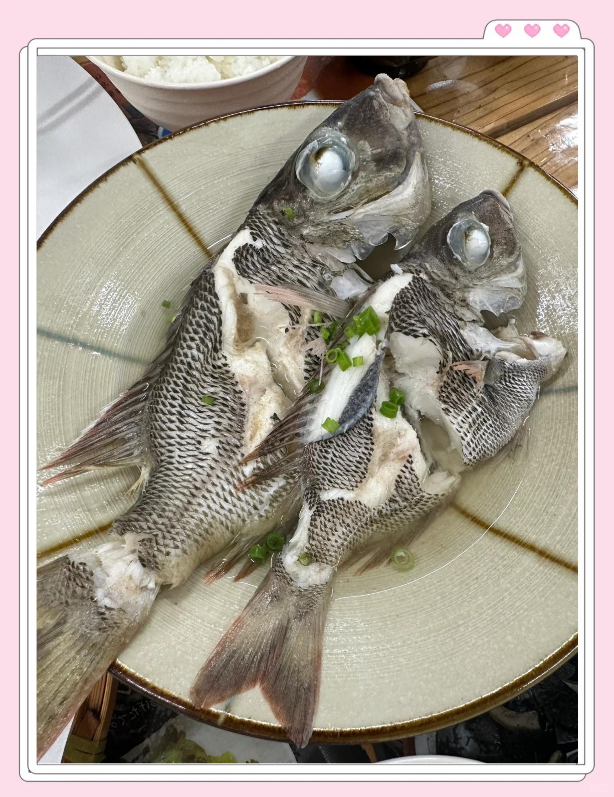 冬季冲绳海钓(海钓黑鲷十句口诀)