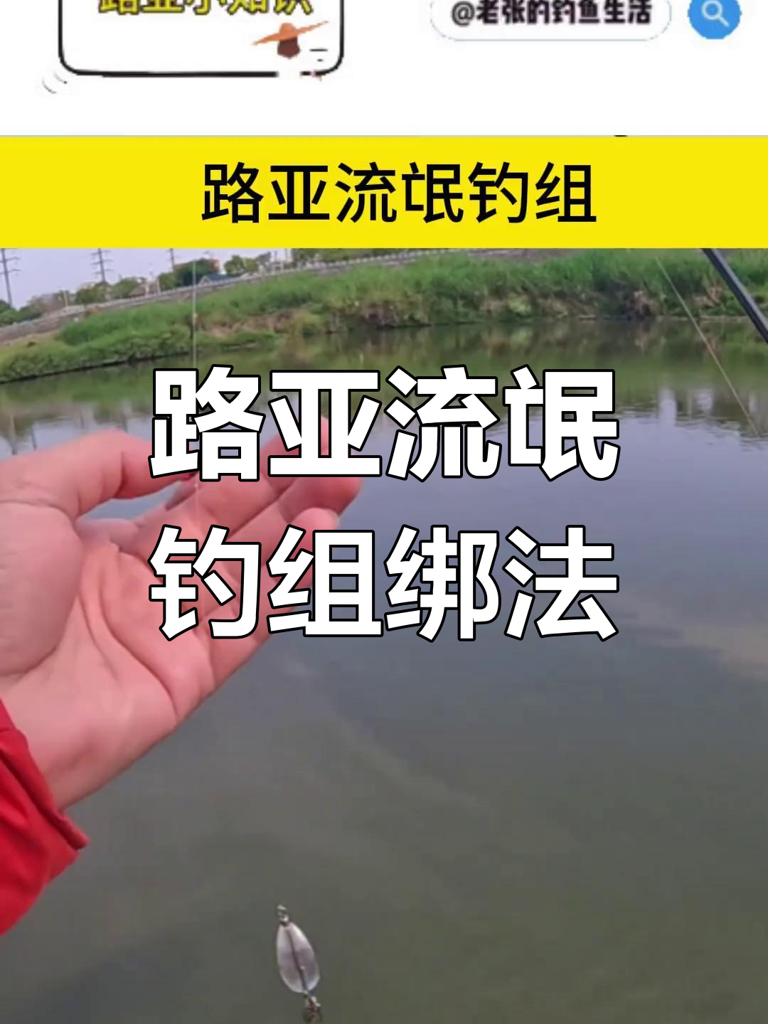 路亚钓刺(路亚竿刺鱼)